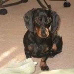 Meet your Posher, Patti